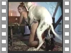 真的狗