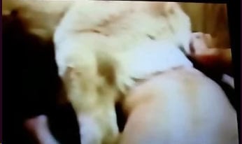 这位兽交癖者寻求的是后入式的快感